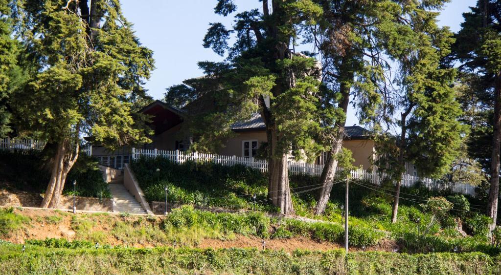 Villa The Firs Nuwara Eliya Exterior foto
